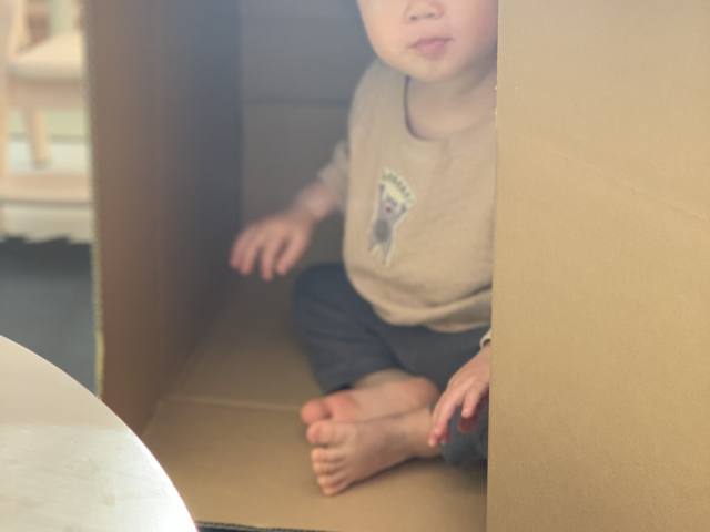 引っ越し段ボールの中に入って遊んでいる1歳児の様子