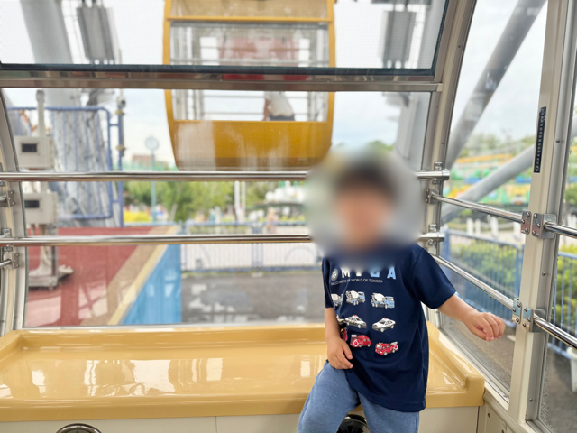 観覧車を楽しむ4歳息子の様子