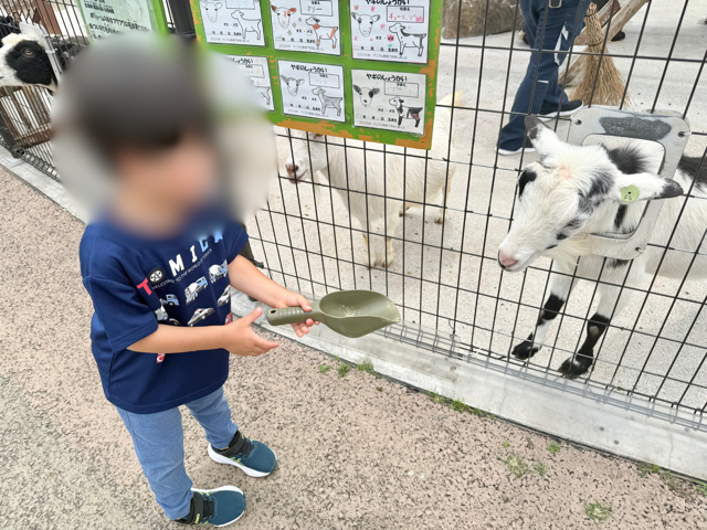 初めての餌やり体験で緊張している様子の4歳児