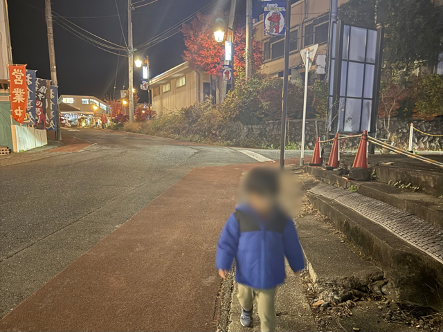 夜の道を鬼怒川温泉駅からホテルまで歩く3歳児