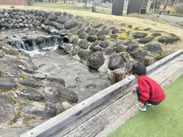 小川の音が心地よく子どもたちも興味津々でした