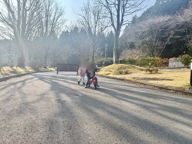 朝から一緒に遊ぶ2歳と3歳